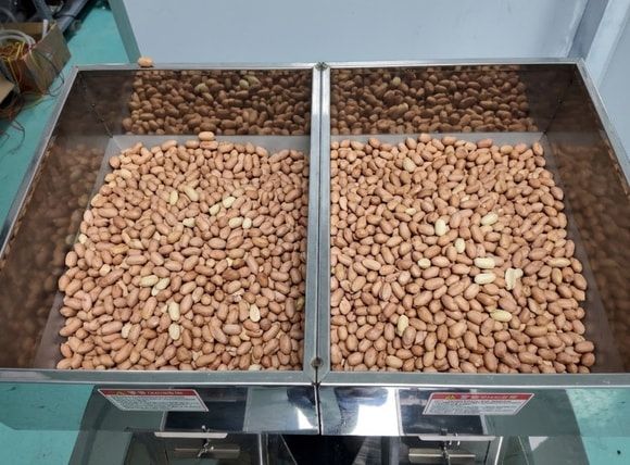 Phễu cấp liệu máy cân định lượng 2 đầu cân 1000g