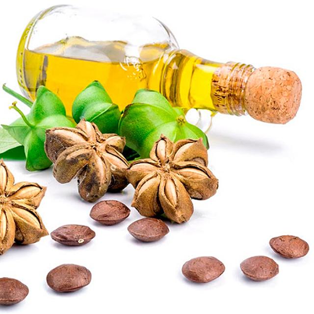 dầu sachi nguyên chất