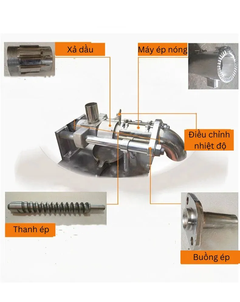 Thiết bị ép dầu thực vật công nghiệp