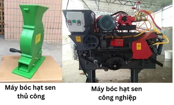 Máy bóc hạt sen thủ công và công nghiệp