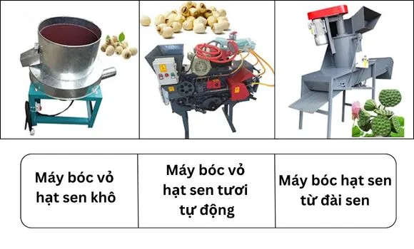 Phân loại máy bóc hạt sen