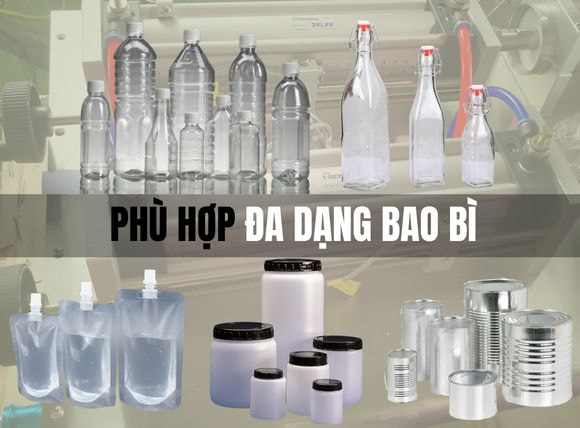 Máy chiết rót dịch đặc 2 vòi G2WGD thích nghi đa dạng bao bì