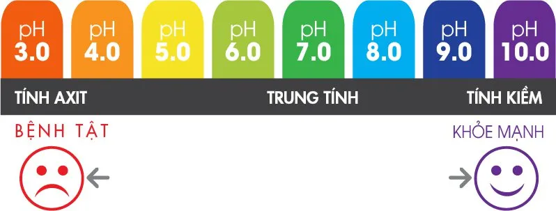 máy lọc nước nóng lạnh RO Viteko AKX 02