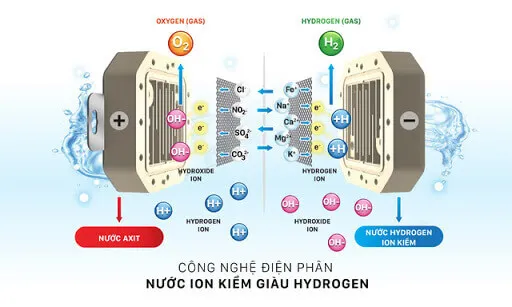 nguyên lý hoạt động máy điện giải ion kiềm Fuji smart P8