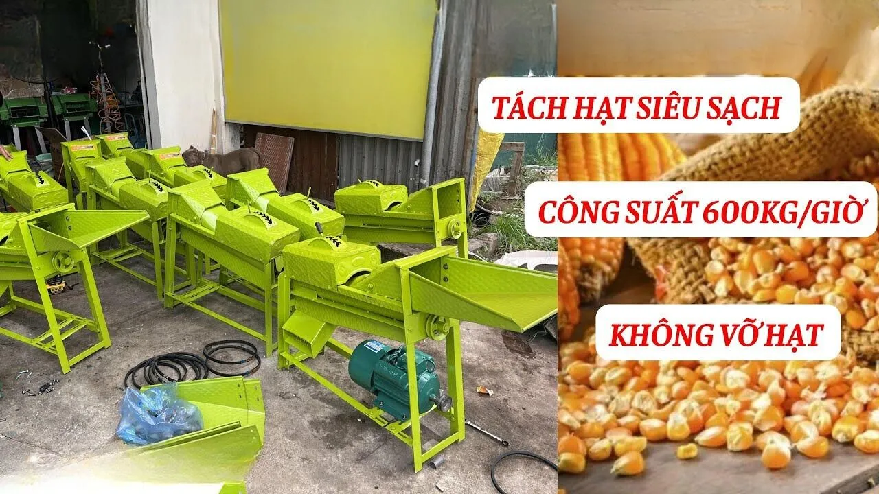 Lợi ích sửu dụng máy tách hạt bắp