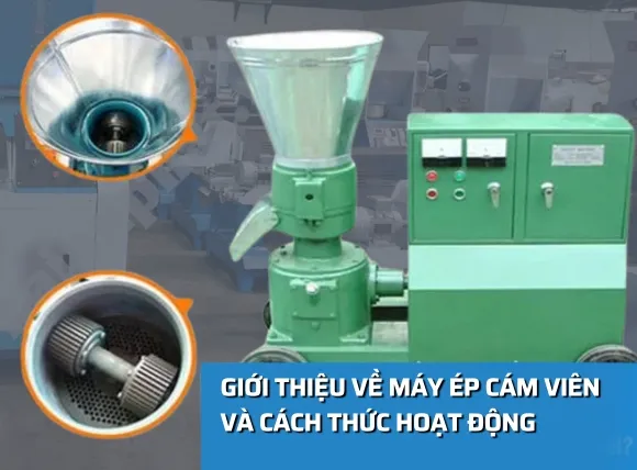 Máy ép cám viên là gì và hoạt động như thế nào