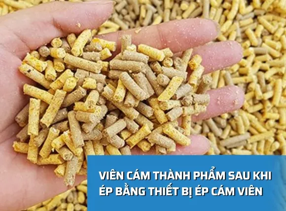 Nhược điểm, các mặt còn hạn chế của thiết bị ép cám viên