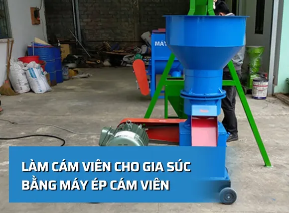 Ép thức ăn viên cho gia súc bằng máy ép cám chất lượng