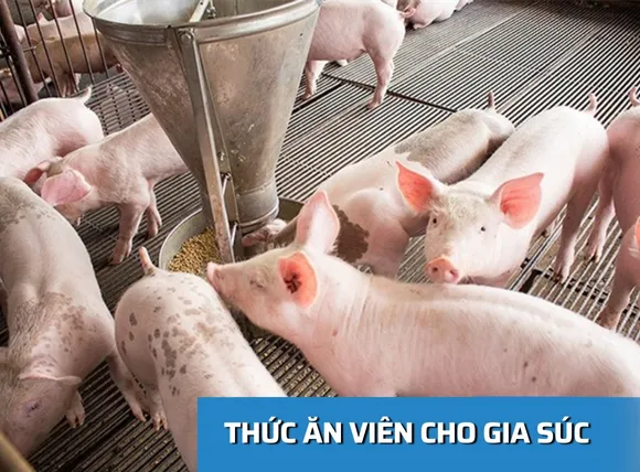 Ưu điểm của thức ăn viên cho gia súc