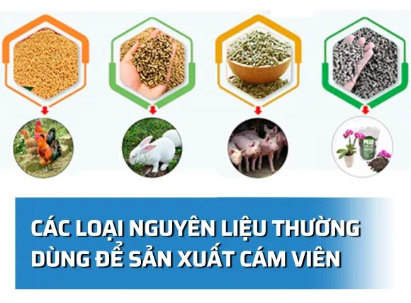 Các loại nguyên liệu để sản xuất cám viên