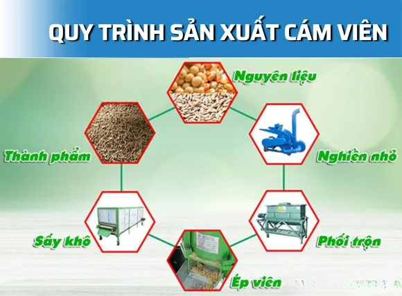 Quy trình sản xuất cám viên