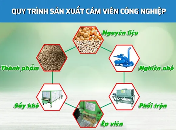 Quy trình sản xuất cám viên