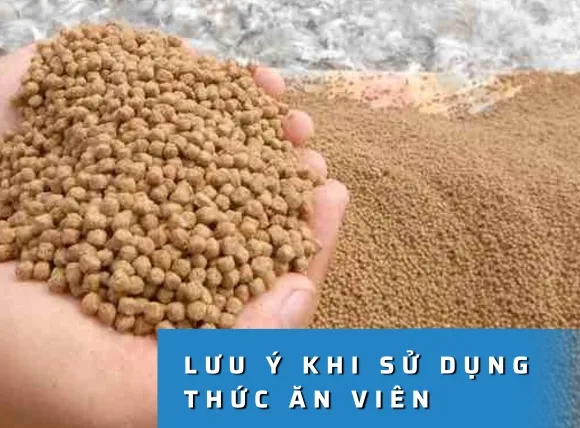 thức ăn dạng viên cho cá