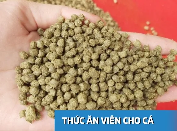 Thức ăn dạng viên cho cá