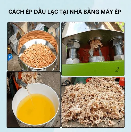 Cách ép dầu tại nhà bằng máy ép