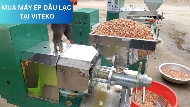 Mua máy ép dầu lạc tại VITEKO