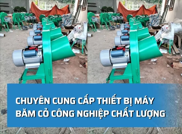 Chuyên cung cấp thiết bị máy băm cỏ công nghiệp chất lượng tốt nhất