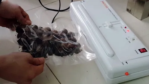 Máy đóng gói thực phẩm không kén túi DZ300A ở Hà Tĩnh