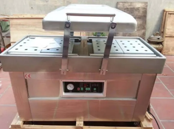 Máy hút chân không 2 buồng công nghiệp DZQ600