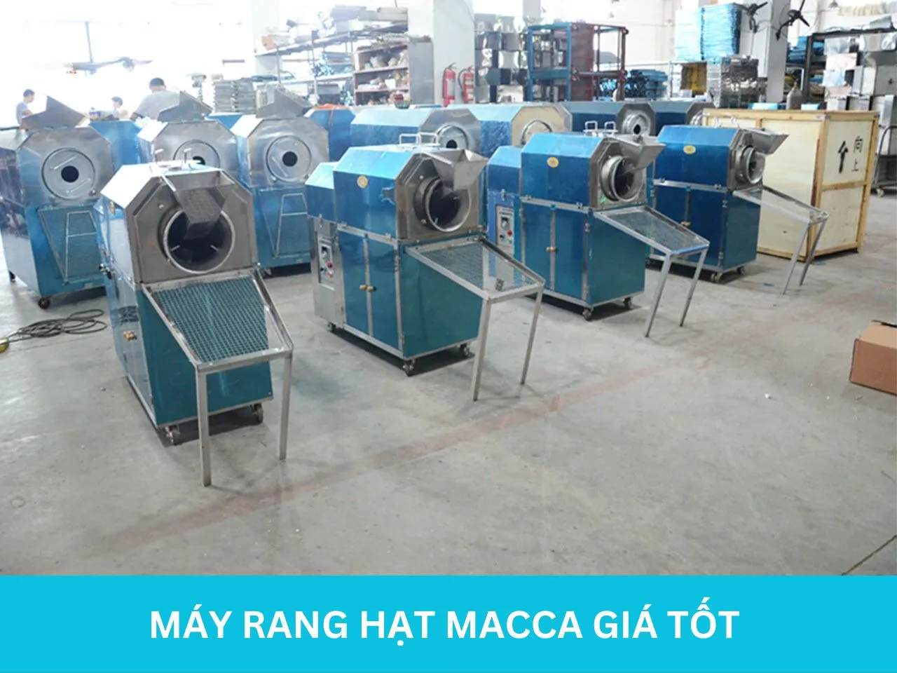 Mua máy rang hạt macca tại Viteko chất lượng