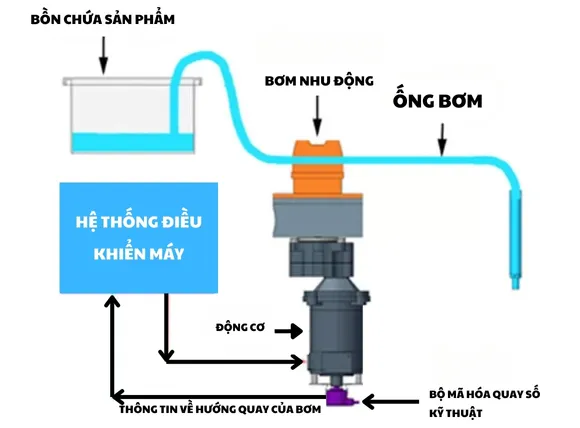 Nguyên lý hoạt động của máy bơm nhu động