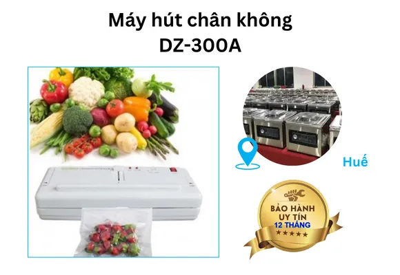 Máy hút chân không Huế DZ300A