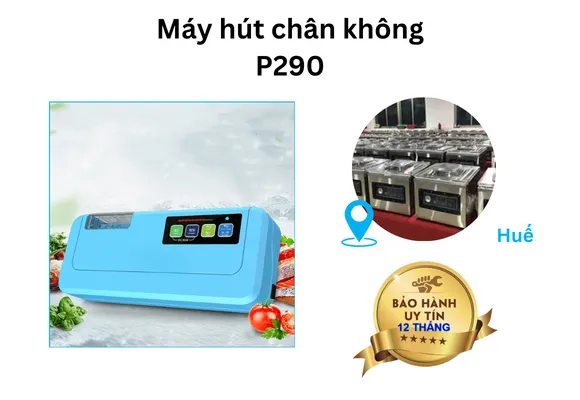 Máy hút chân không Huế P290