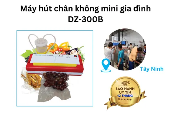 Máy hút chân không Tây Ninh DZ300A