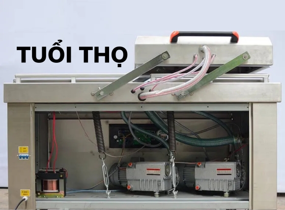 Dầu bơm sẽ ảnh hưởng đến tuổi thọ của máy bơm chân không