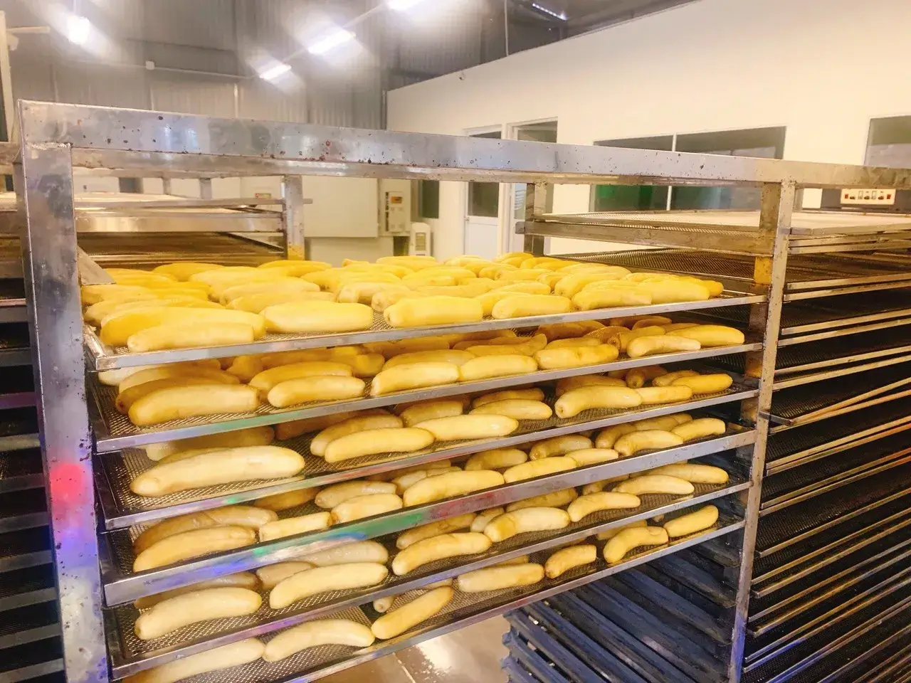 máy làm chuối sấy khô cho năng suất cao