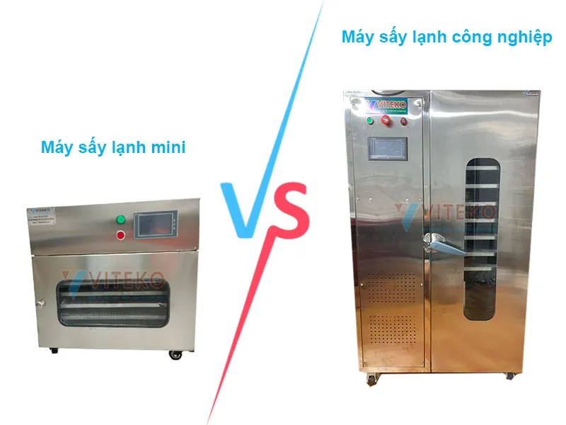 máy sấy hoa đậu biếc mini với máy sấy hoa đậu biếc công nghiệp