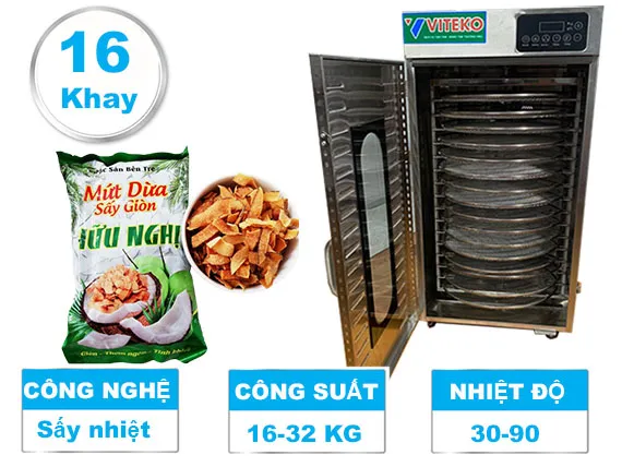 Máy sấy nhiệt mứt dừa LT-101