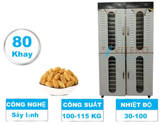 Máy sấy nho khô công suất lớn- LT-023