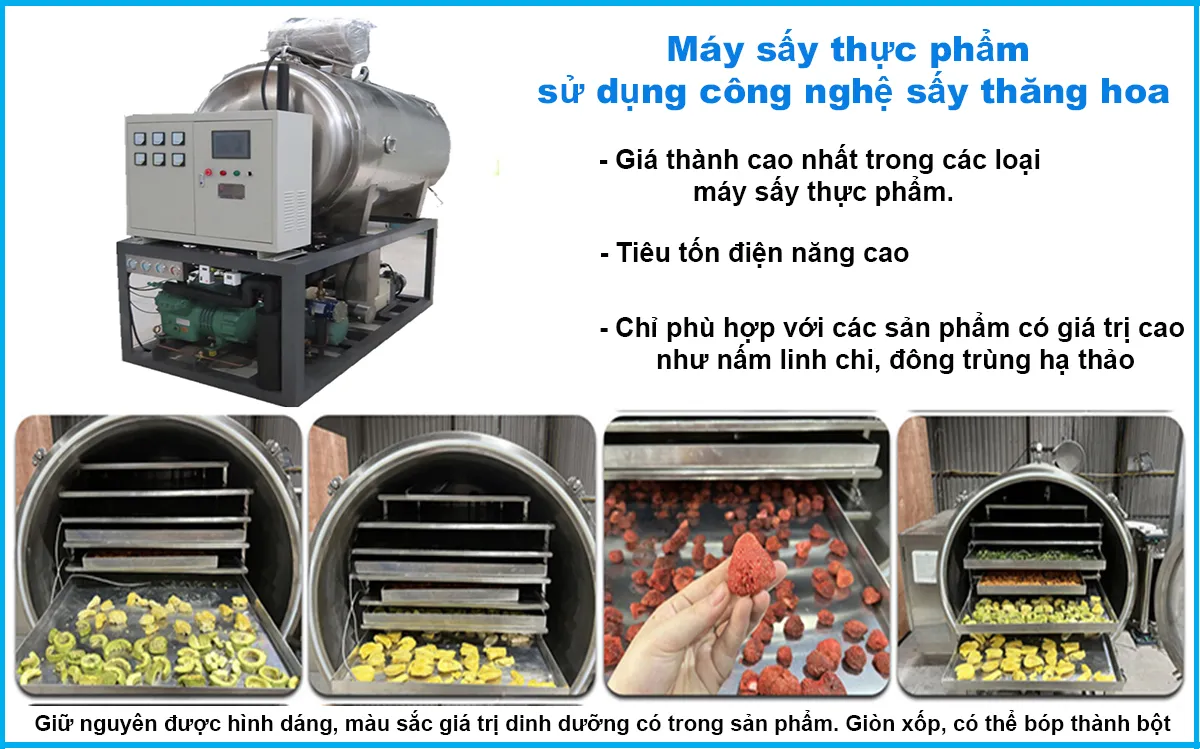 Máy sấy giòn bằng công nghệ sấy thăng hoa