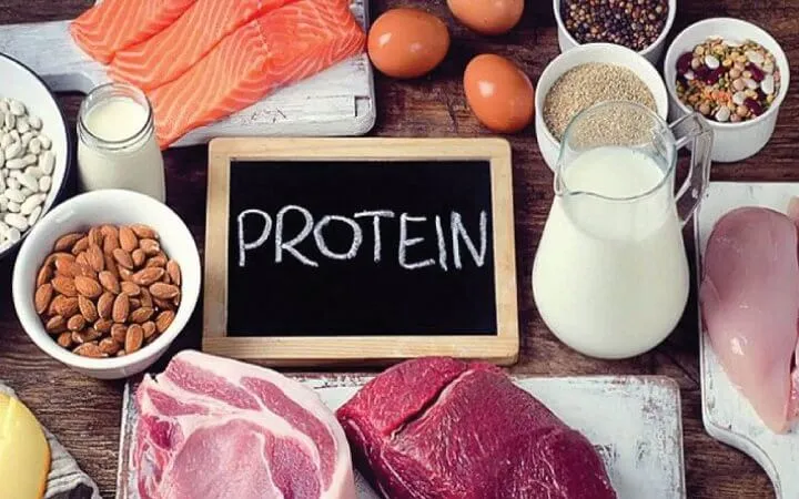 protein tốt cho người loãng xương