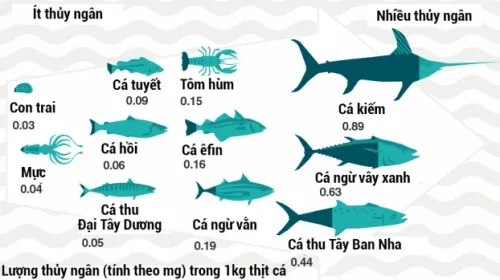 kiêng cá có nhiều thủy ngân