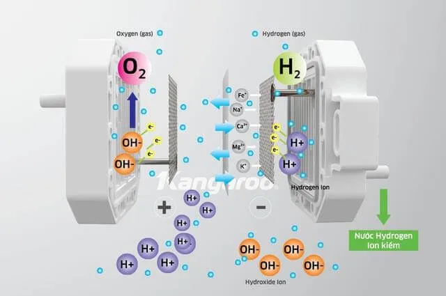 cơ chế điện phân nước tạo nước hydrogen