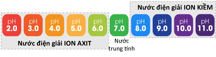 kiềm hóa cơ thể