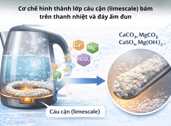 Độ cứng cacbonat (nước cứng tạm thời) do Ca(HCO₃)₂ và Mg(HCO₃)₂