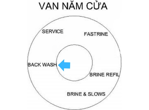 Rửa ngược (Backwash)