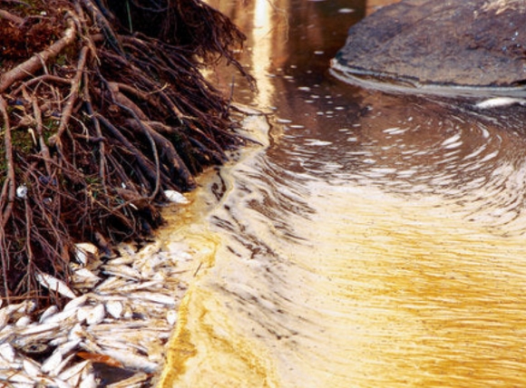 Nước giếng khoan nhiễm Nitrat/Nitrit