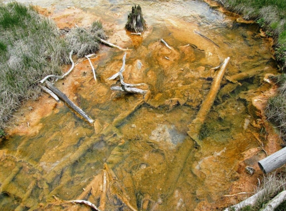 Nước giếng khoan nhiễm phèn