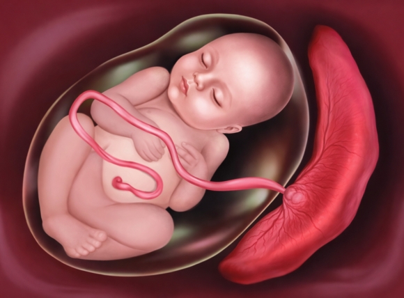 Ảnh hưởng của Asen đến thai nhi và trẻ em