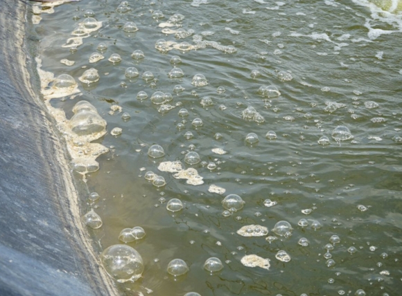 Tình trạng nước đục phù sa