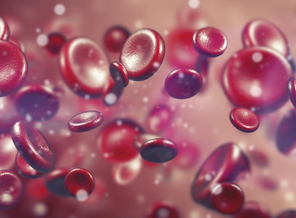 E.coli trong nước giếng gây hội chứng tan máu urê huyết (HUS)