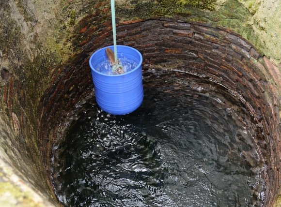 Nguồn nước giếng chưa qua xử lý chứa vi khuẩn E.coli