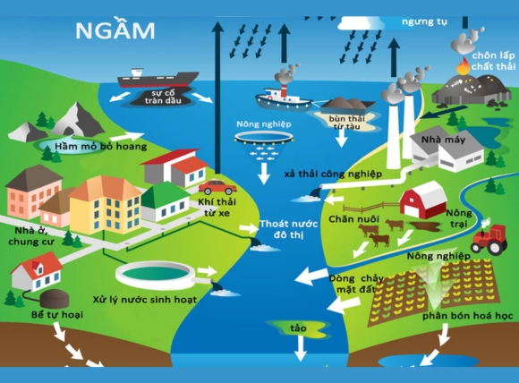 Sự xâm nhập của nước bề mặt mang theo chất thải