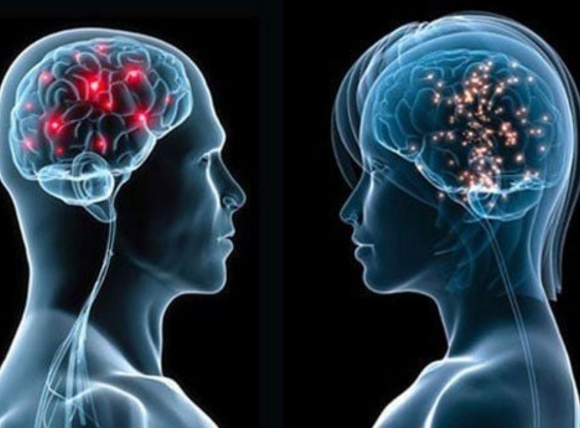 Tác động trực tiếp đến chức năng não bộ