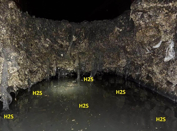 Nguyên nhân chính làm nước giếng có mùi trứng thối