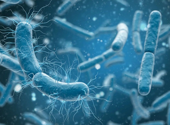 Nguyên nhân chính làm nước giếng có mùi trứng thối